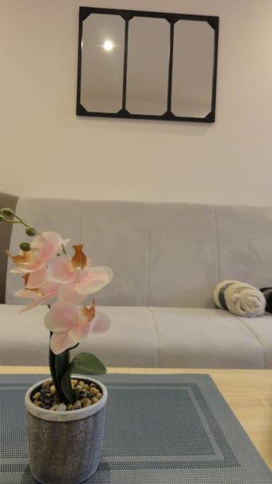 Le Belvedere Dernier Etage Avec Terrasse Wifi Fibre Διαμέρισμα Ταρμπ Εξωτερικό φωτογραφία